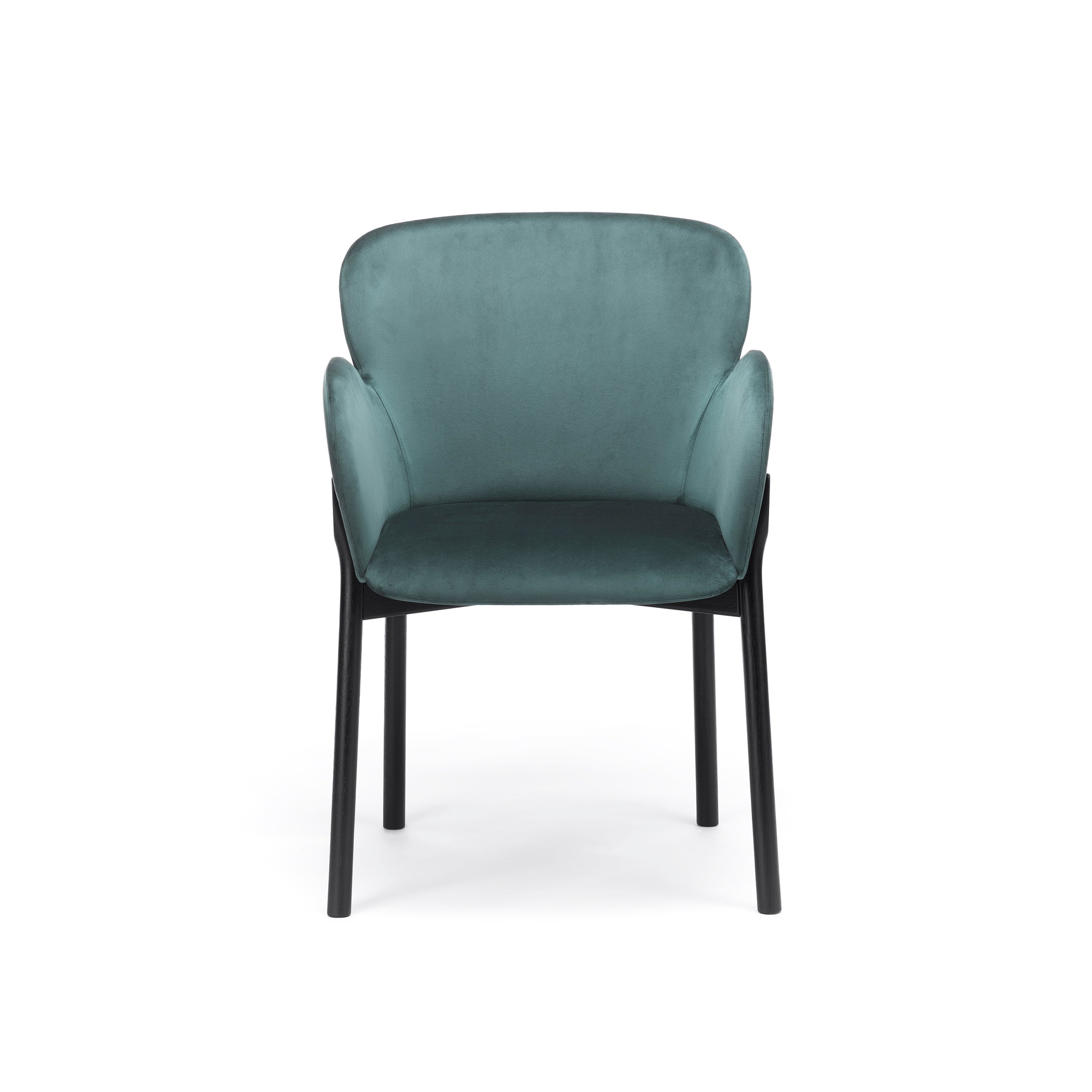 The Armchair Ginger by TON is a modern teal upholstered chair with a simple, elegant design. It features a rounded backrest and armrests, with black legs enhancing its contemporary look. The soft fabric contrasts the sleek frame, providing stylish and comfortable seating for any space.