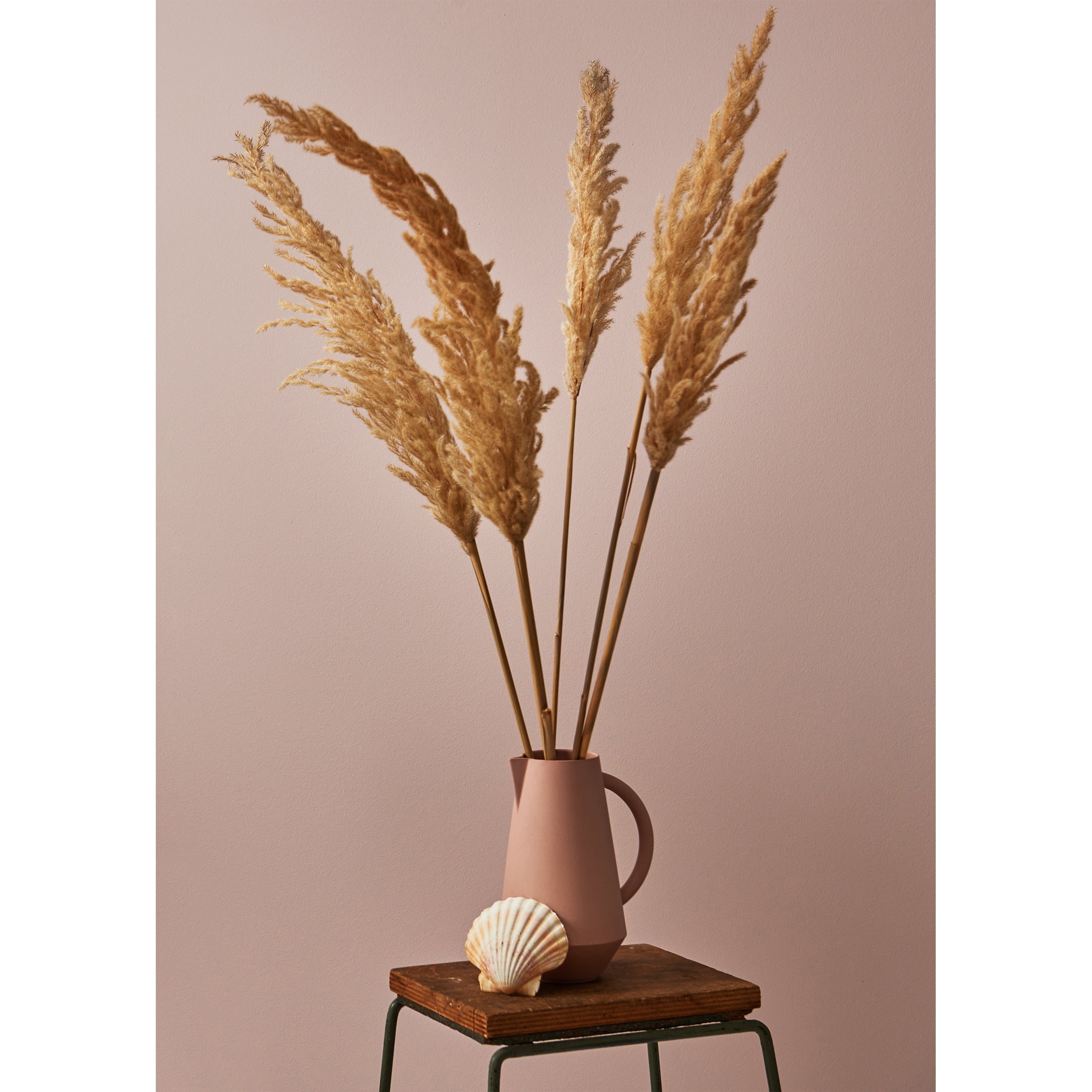 A pink Unison Carafe by Schneid, handcrafted in Germany, is filled with tall, dried pampas grass on a wooden stool against a beige background, with a seashell next to it.