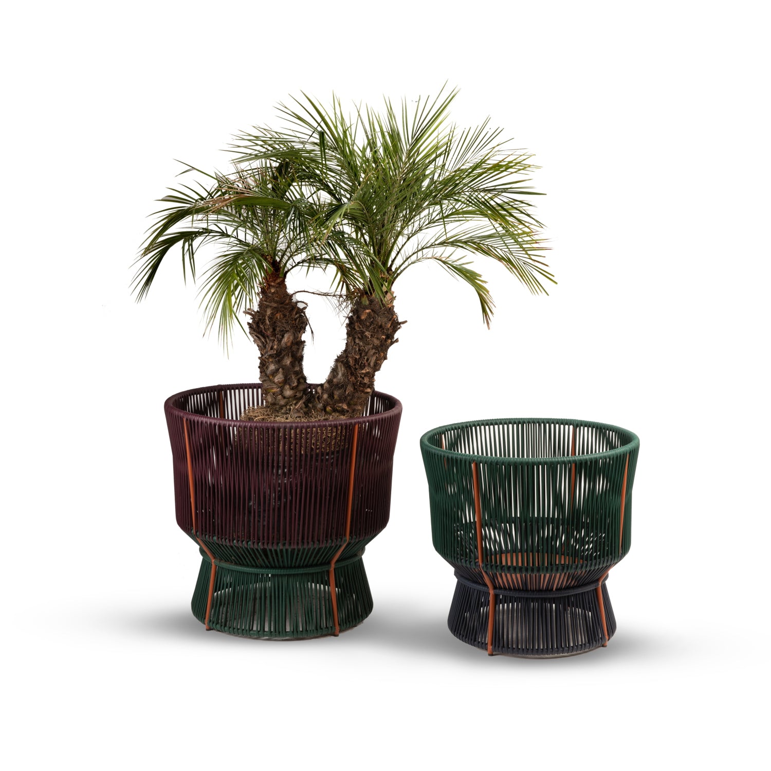 Two Caribe Chic Baskets by Ames, featuring the mamposino braiding technique. The larger basket holds a tropical plant with long green leaves and a thick trunk, while the smaller one is empty. Both showcase a modern design against a white background.