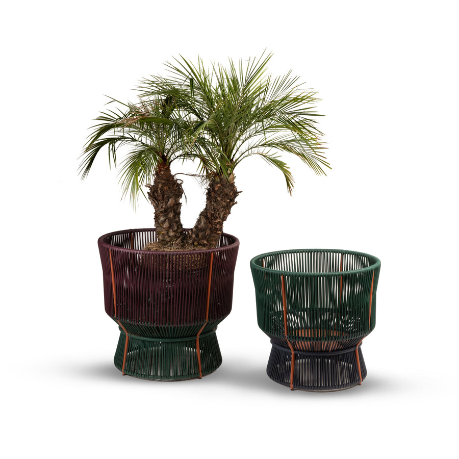 Two Caribe Chic Baskets by Ames, featuring the mamposino braiding technique. The larger basket holds a tropical plant with long green leaves and a thick trunk, while the smaller one is empty. Both showcase a modern design against a white background.