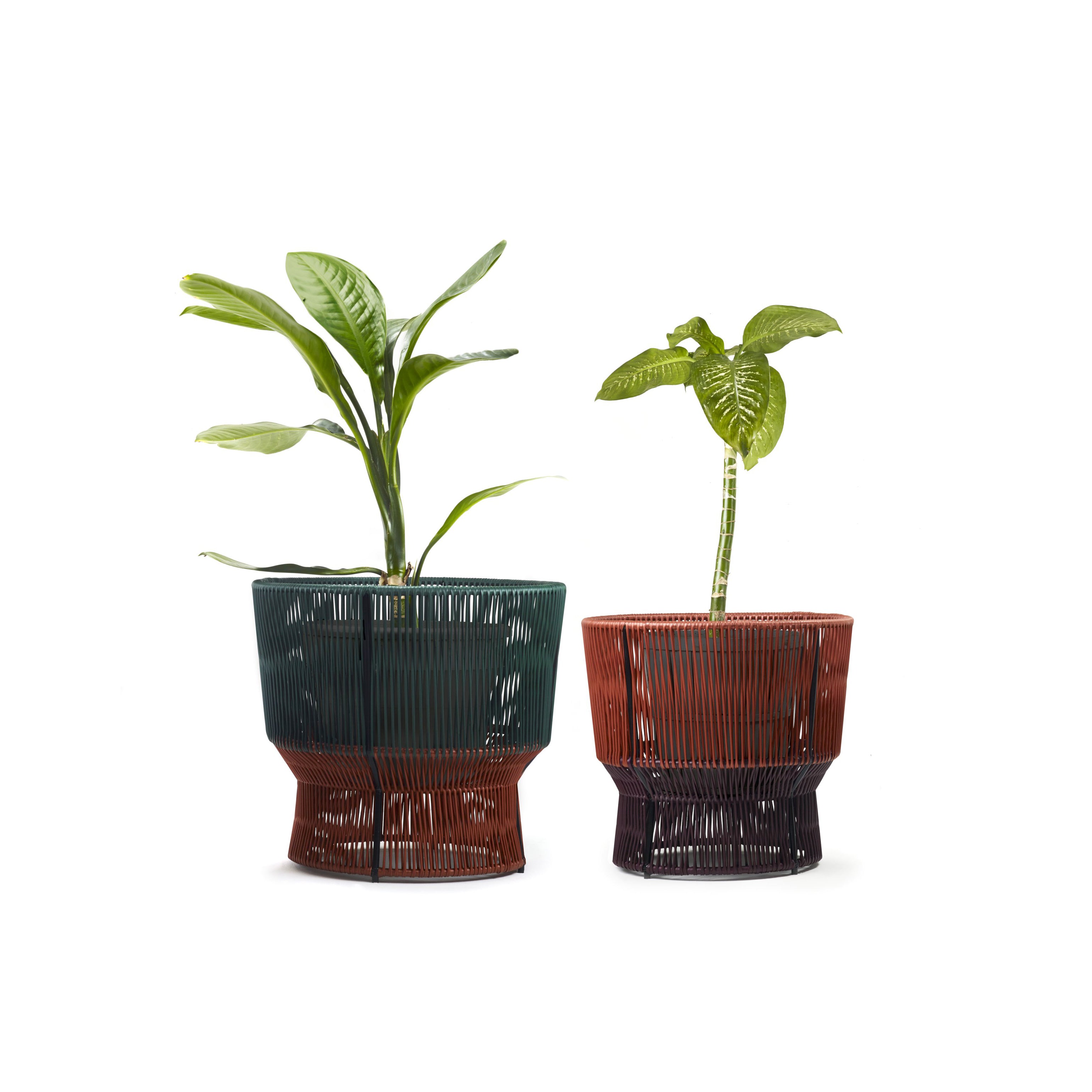 Two potted plants are displayed; the left is tall in a dark green woven pot made of recycled plastic, while the right is shorter in an Ames Caribe Chic Basket 1 with a reddish-brown finish, both showcasing traditional braiding on a white background.