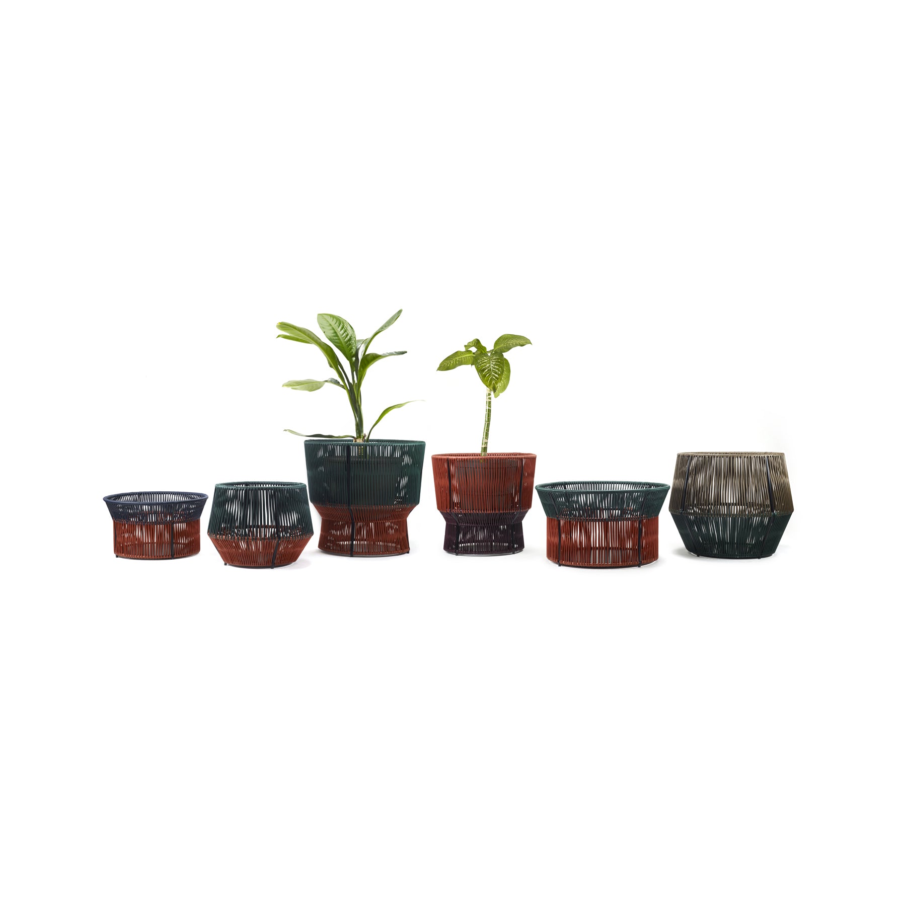 A row of six Caribe Chic Basket 2 pots by Ames crafted from recycled plastic adorns a white background. Two hold green plants, while four are empty. Their glossy red, green, and brown finishes offer an eco-friendly touch with chic appeal in various sizes and shapes.