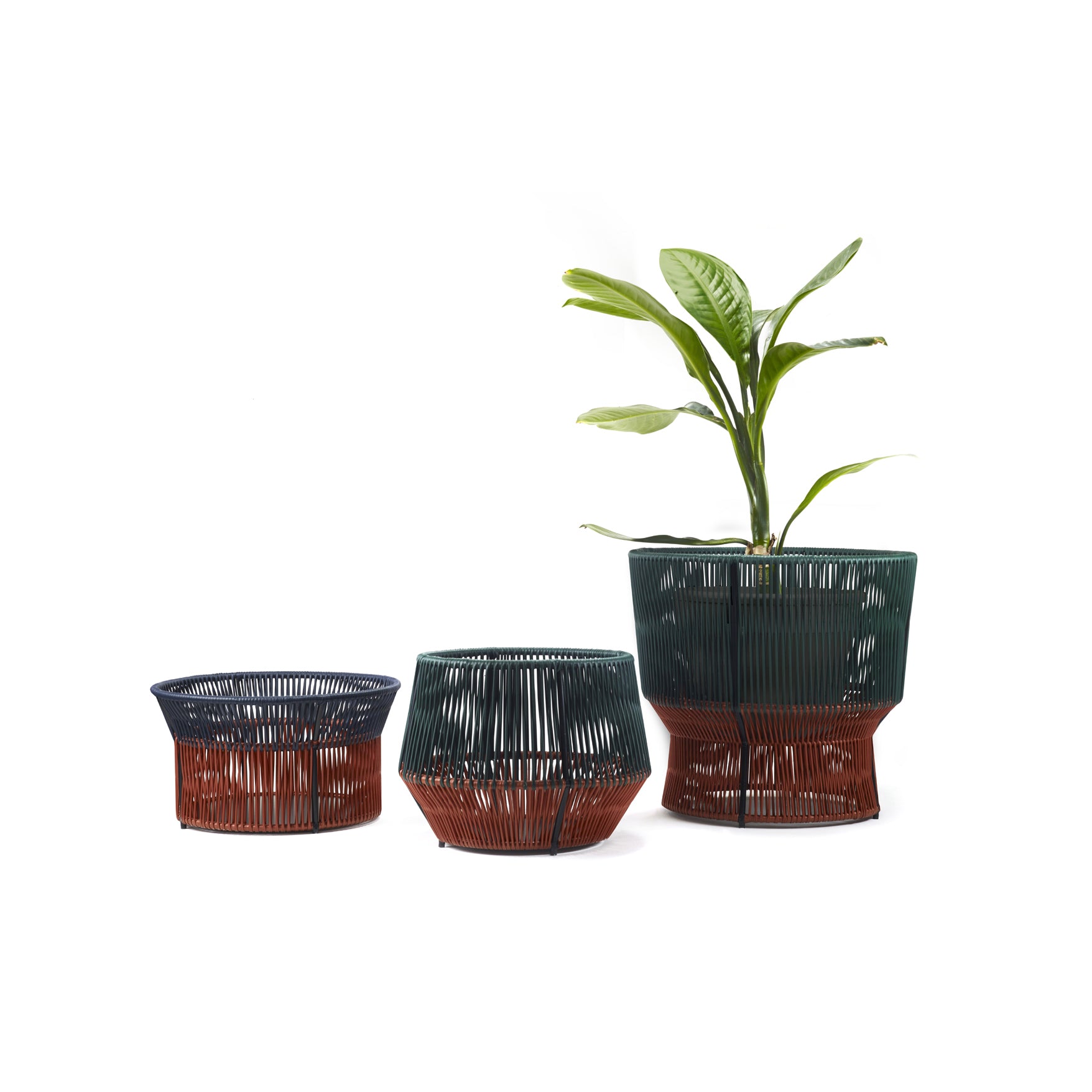 The Ames Caribe Chic Basket 3 features three woven planters of varying sizes in rich brown and dark green, crafted using traditional braiding techniques. The largest planter elegantly holds a leafy green plant against a white background.