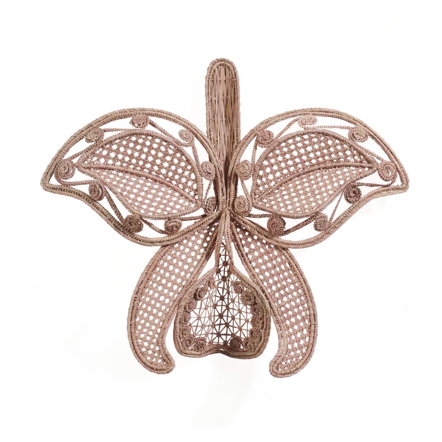 The Ames Cattleia Wall Decor by Ames features a decorative woven rattan butterfly with intricate lacy wings—handmade, unique, and elegant. Shown on a white background for a fresh wall decoration look.