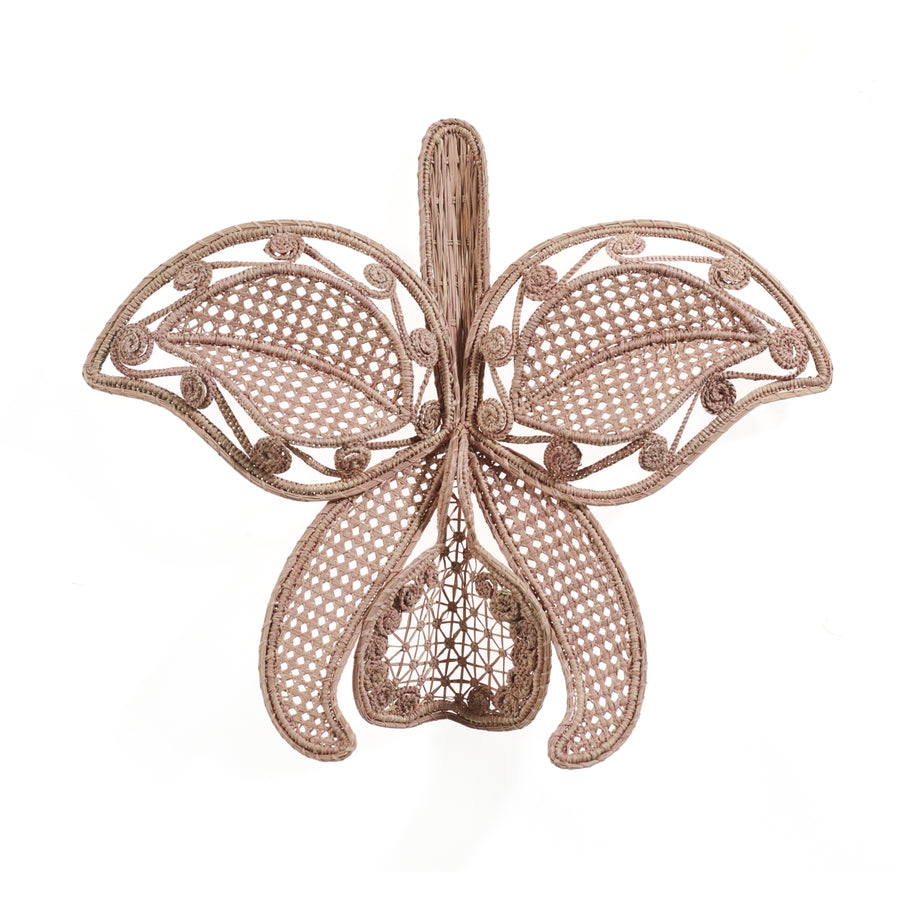 The Ames Cattleia Wall Decor by Ames features a decorative woven rattan butterfly with intricate lacy wings—handmade, unique, and elegant. Shown on a white background for a fresh wall decoration look.