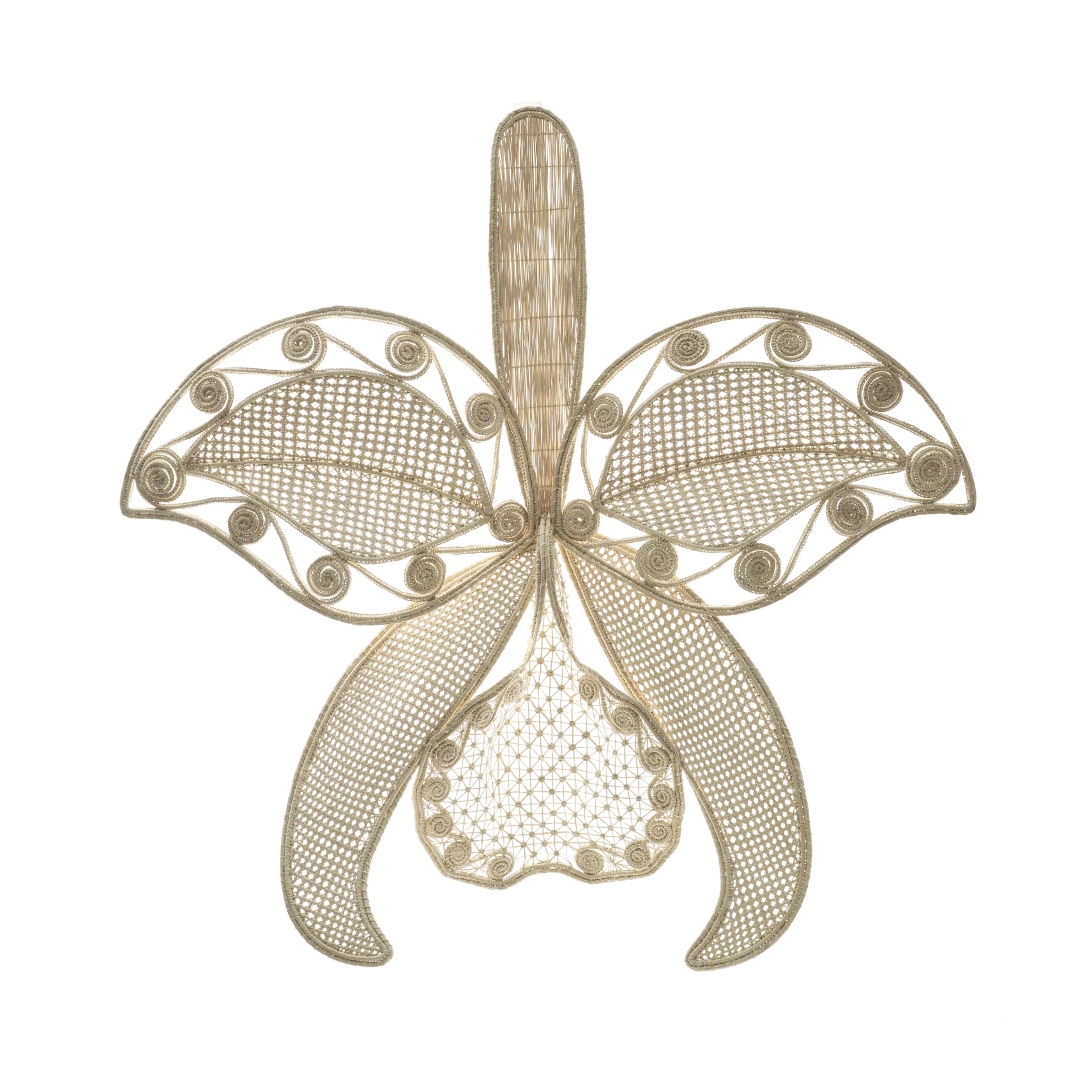 The Ames Cattleia Wall Decor by Ames features woven natural fibers forming an abstract orchid with two large petals, intricate mesh patterns, and swirling details, all set against a white background.