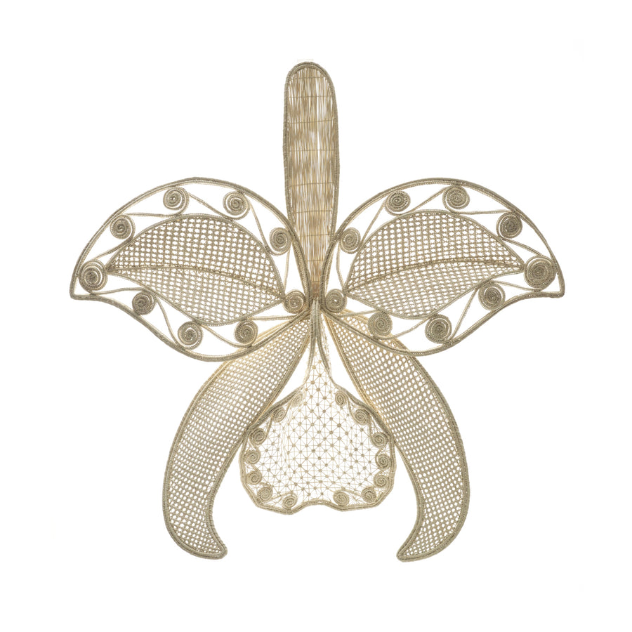 The Ames Cattleia Wall Decor by Ames features woven natural fibers forming an abstract orchid with two large petals, intricate mesh patterns, and swirling details, all set against a white background.