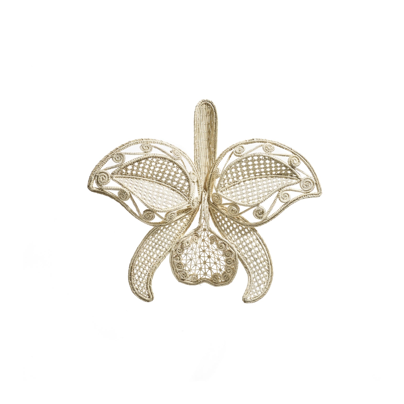 The Ames Cattleia Wall Decor by Ames features a delicate gold filigree design shaped like a Cattleya orchid, with intricate patterns and fine wirework on its petals and center, presented on a plain white background.