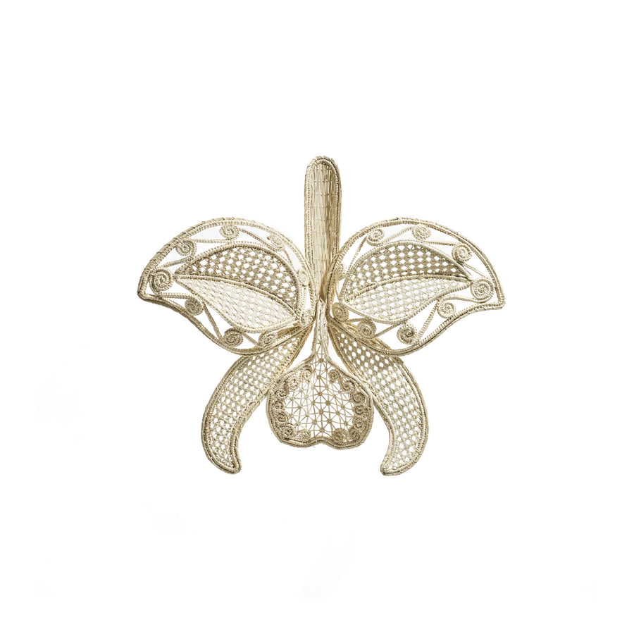 The Ames Cattleia Wall Decor by Ames features a delicate gold filigree design shaped like a Cattleya orchid, with intricate patterns and fine wirework on its petals and center, presented on a plain white background.