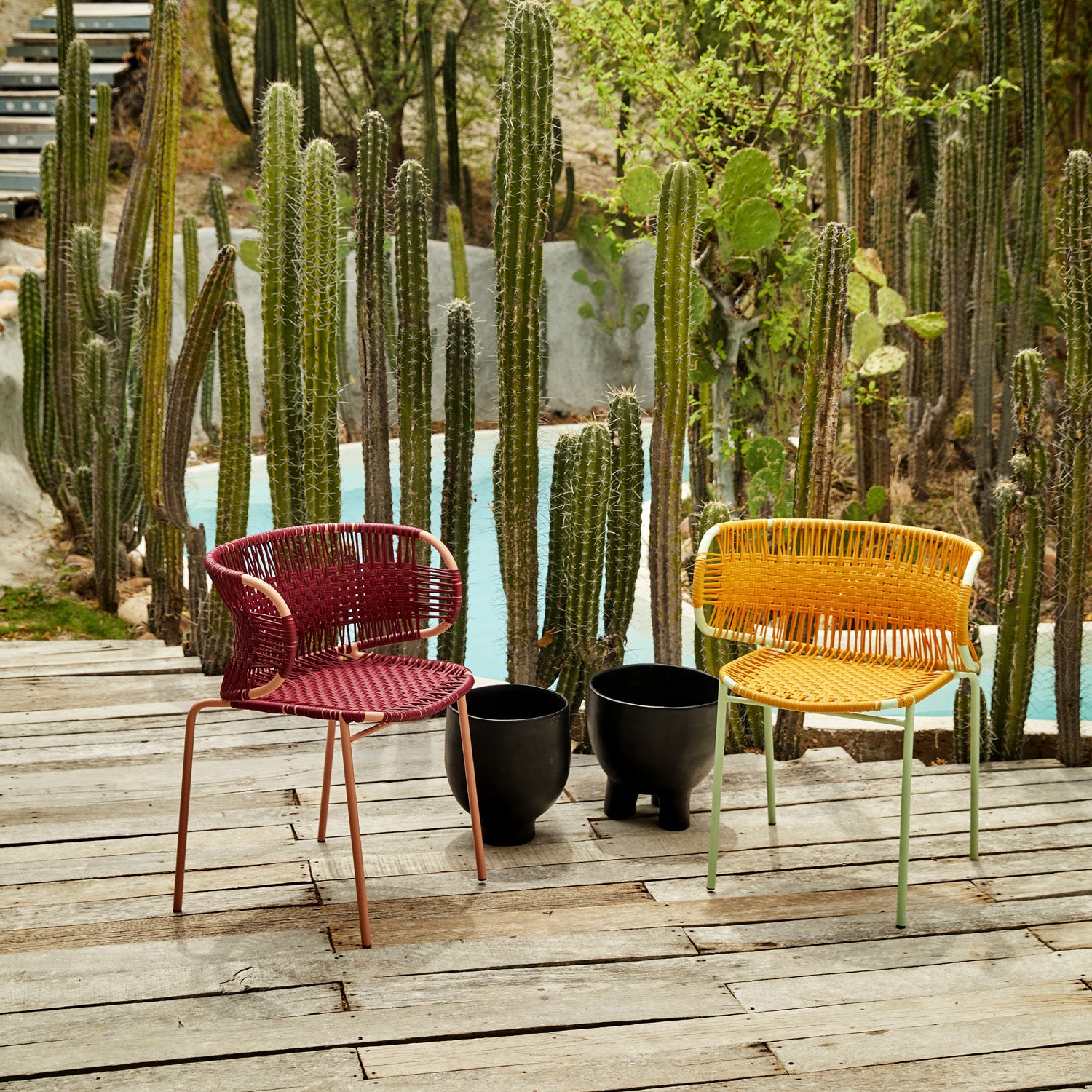 A red and a yellow Cielo Armchair by Ames sit on a wooden deck, with two black planters nearby. Tall cacti and a pool in the backdrop create a desert-like setting, highlighting traditional weaving techniques similar to those used in the Cielo Armchair.