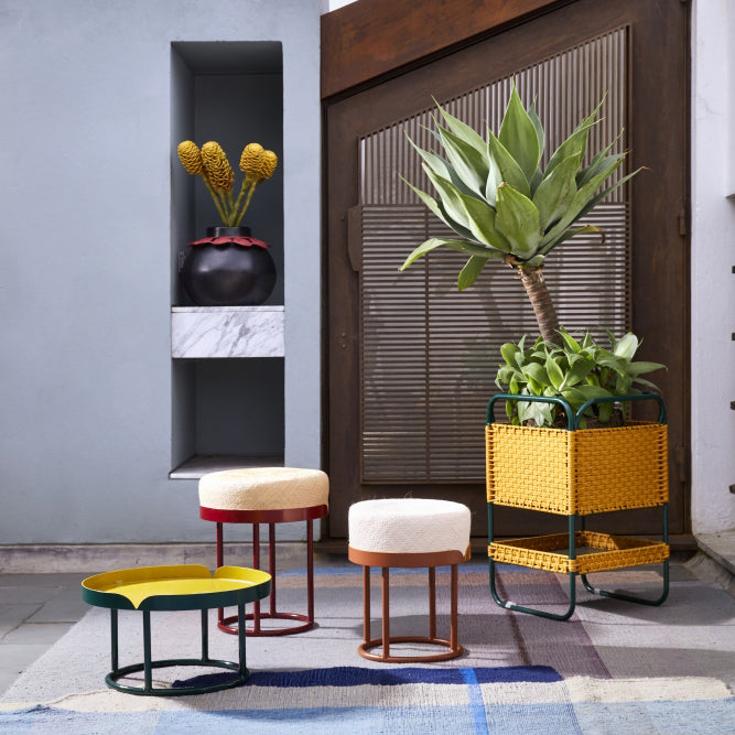 A modern indoor space featuring three small, colorful recycled plastic stools, a yellow side table, a large potted succulent in the Ames Dichas Natural Basket 1 by Ames, and a black vase with yellow flowers on a marble shelf against a gray wall.