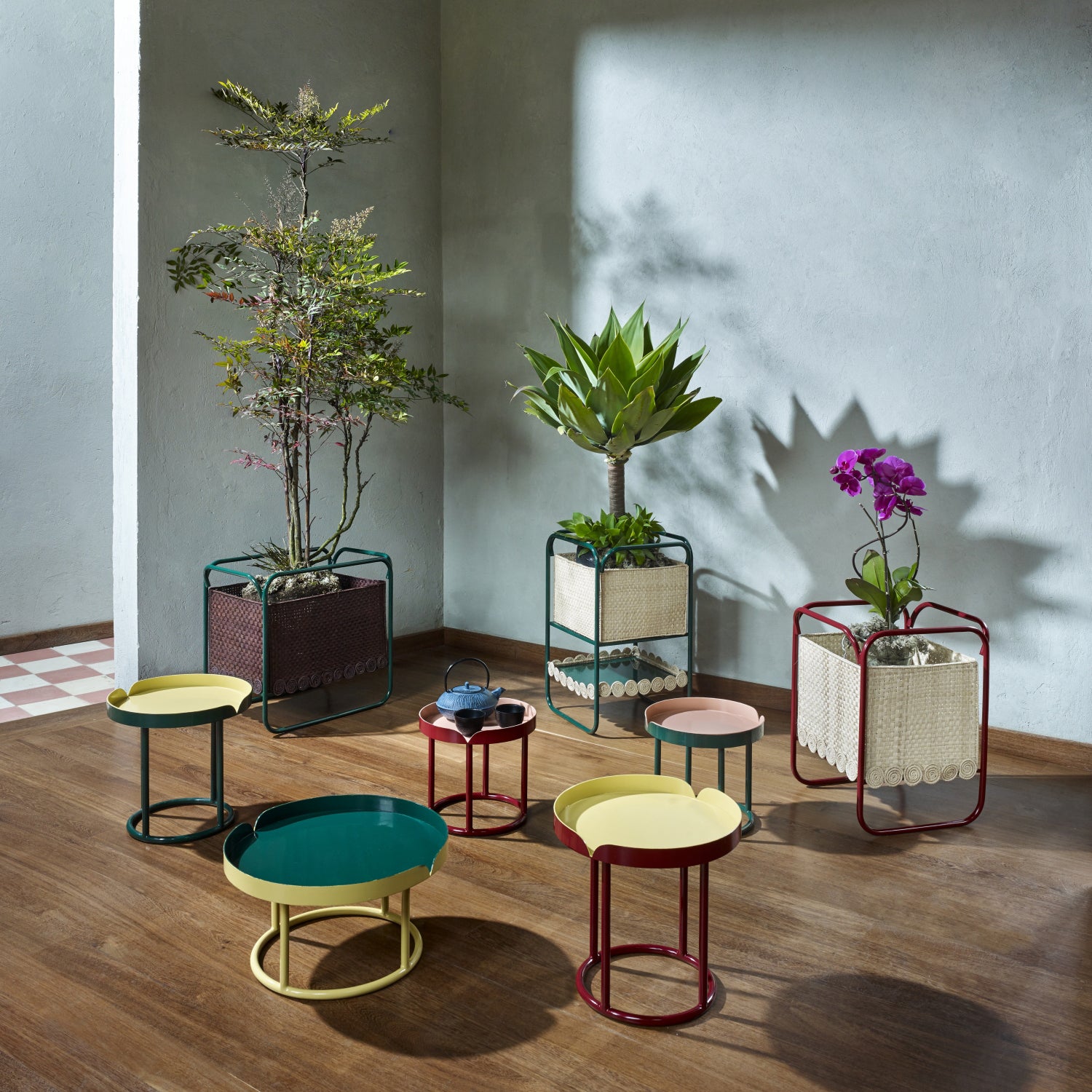 A stylish interior scene features the Amazonia Collection with colorful circular Victorias Coffee Tables by Ames. A teapot and cups sit atop them, with tall plants and a purple orchid in woven baskets accenting the light gray wall, all set on a wooden floor.