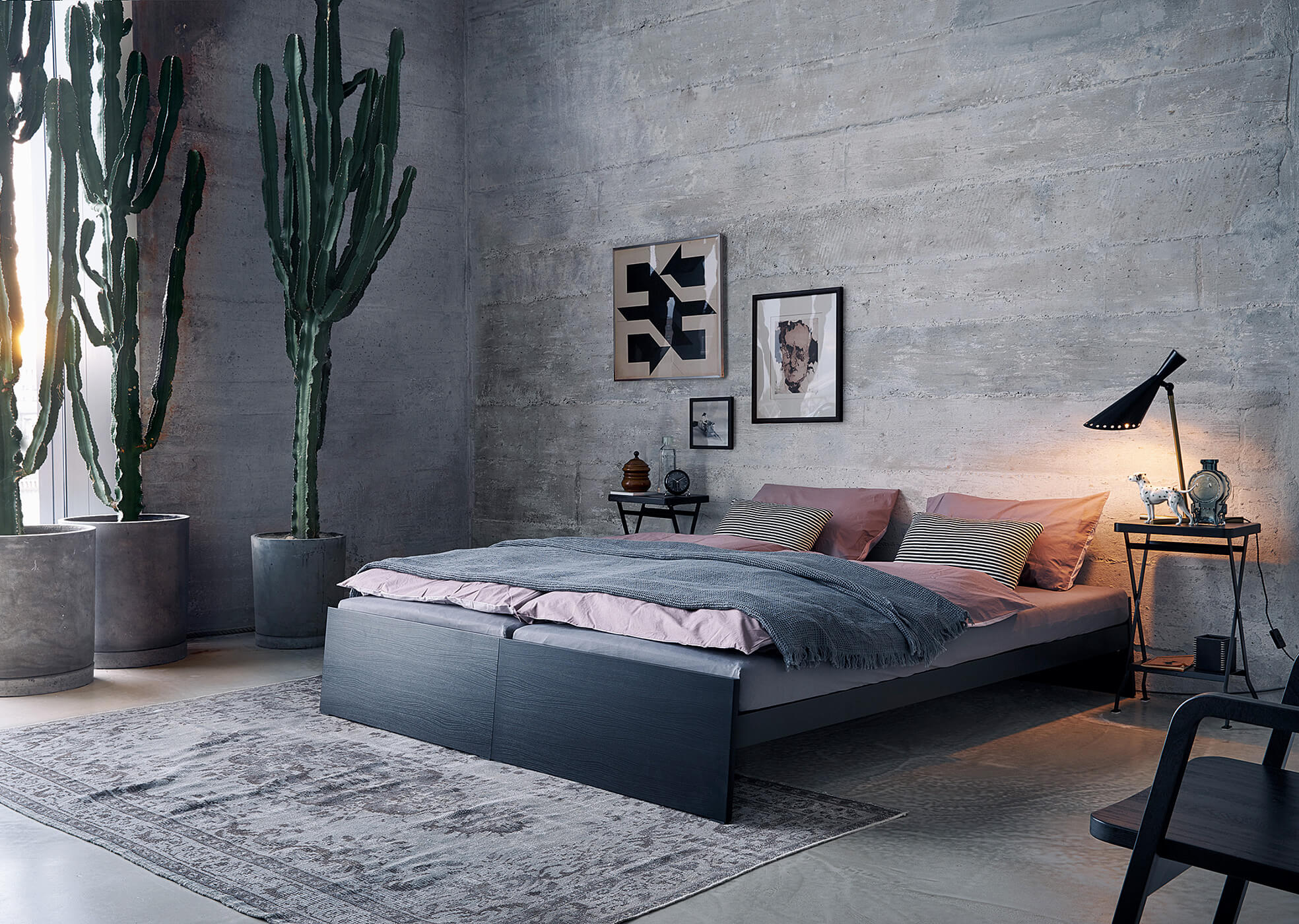 A modern bedroom showcases a concrete wall, large potted cacti, and Richard Lamperts Lönneberga Stacking Bed with pink and gray bedding. Abstract wall art, a nightstand with a lamp, and a patterned rug complete the scene. Versatile space-saving furniture keeps the warm-lit decor cozy yet functional.