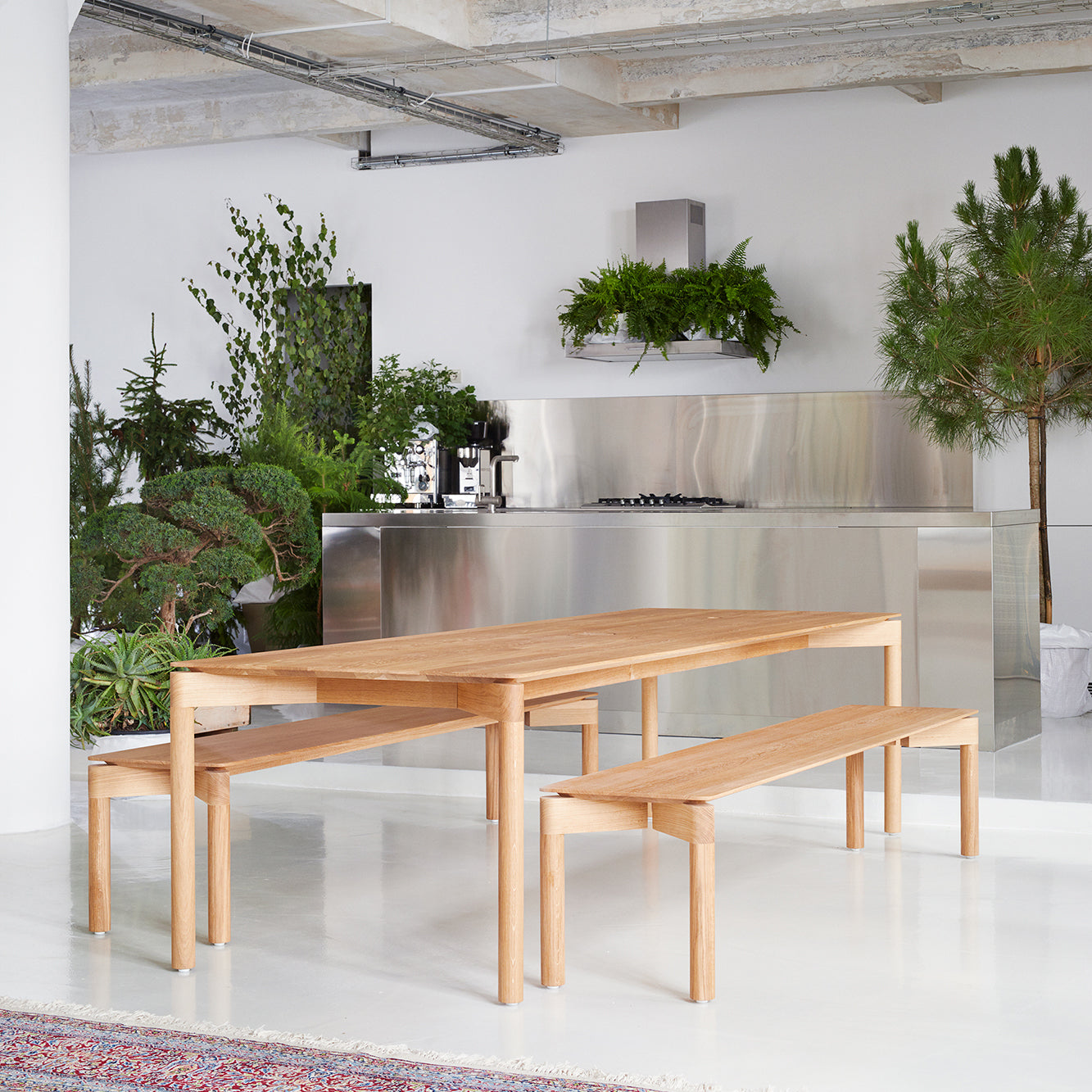 Modern kitchen interior with stainless steel counter and appliances. In the foreground, a wooden dining table with matching Objekte unserer Tages Wedekind Benches, crafted from sustainably certified oak. Greenery and potted plants are scattered throughout, adding a natural touch.