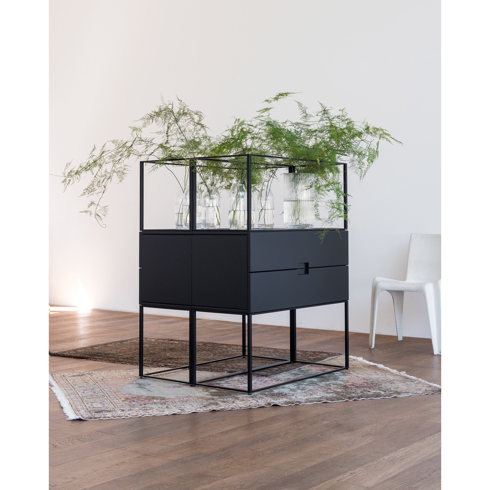 The Fischer Shelfing system by Objekte unserer Tage, a modern black metal terrarium, stands on a wooden floor with glass vases of lush green ferns. Its set on a layered rug in a puristic design room with white walls and a white chair in the background.